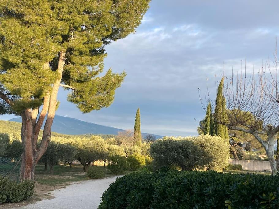 Gite Au Milieux Des Oliviers. Caromb Luaran gambar